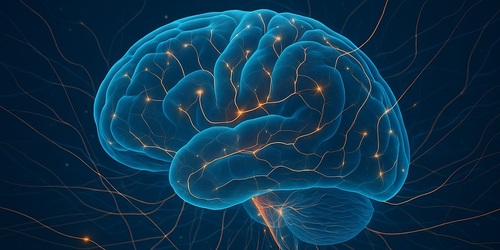 🧠 شبکه‌های عصبی اسپایکی (SNN): معماری مغز انسان در هوش مصنوعی